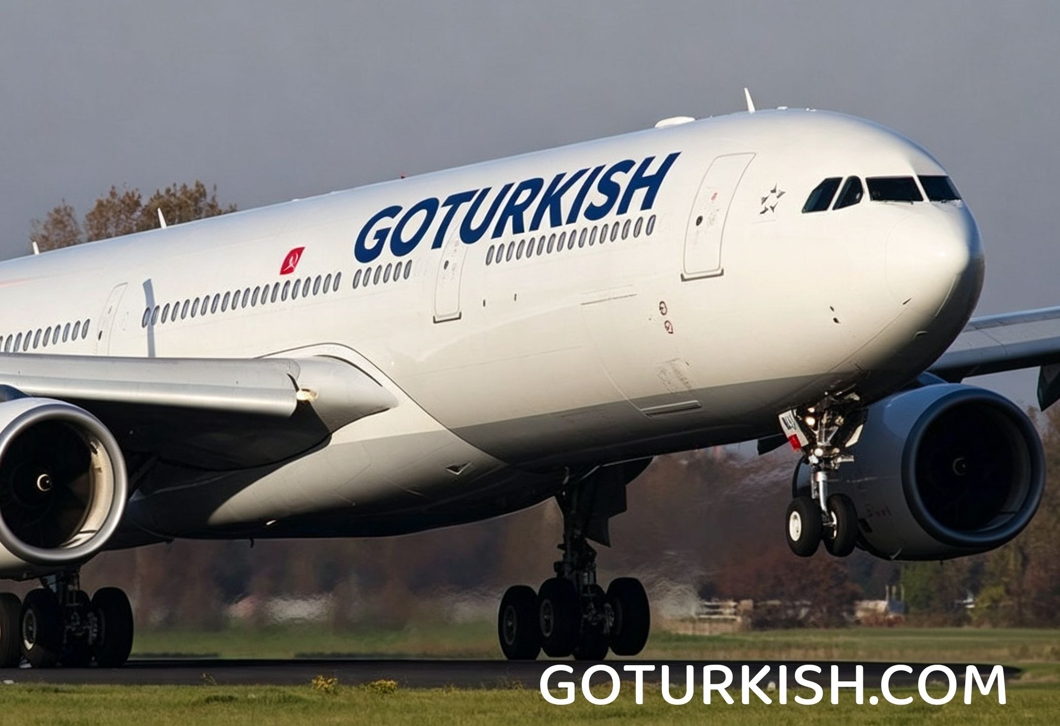 Aircraft carrying a GoTurkish brand concept, shown as a visual mockup